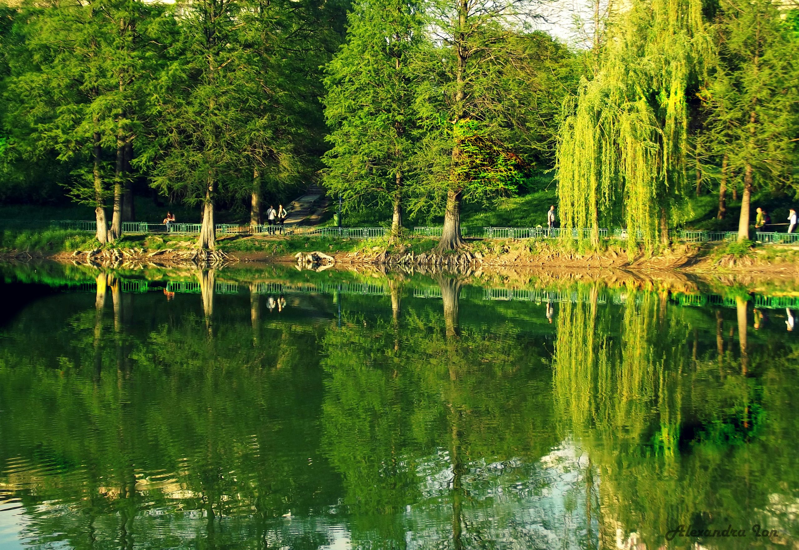 Care sunt cele mai importante parcuri din București
