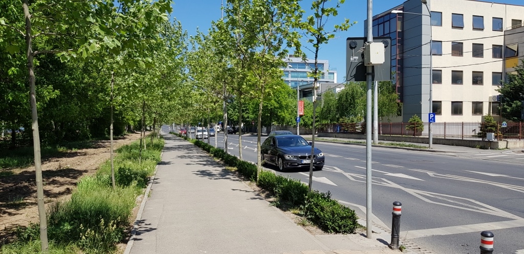 Calea Floreasca din București este în restaurare: se introduce un sens unic, fără mașini pe trotuare, multe spații verzi| Când încep lucrările