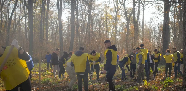 În doar cinci ore, în pădurea Vlădiceasca din Snagov au fost plantați 8.000 de copaci. Următoarea acţiune va fi la Cernica, a anunţat preşedintele CJ Ilfov
