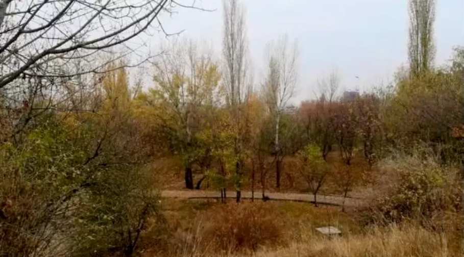 Undă verde pentru noul parc din București. Autoritatea locală cere oficial guvernului un teren în Grozăvești