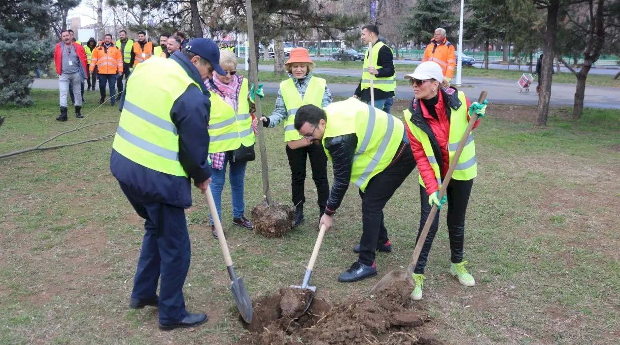 Primăvara a dat undă verde în București. Au fost plantați arbori în Sectorul 5. S-au plantat 100 de tei în Parcul Eroilor