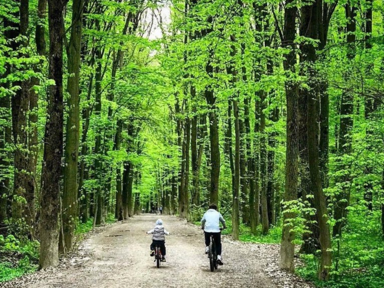 Aleile din pădure sunt locul perfect pentru plimbare cu bicicleta, indiferent de vreme. Experiența este una dintre cele mai plăcute și produce dependență!