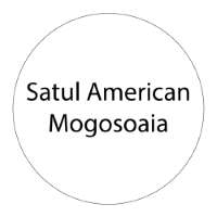 Satul American Mogosoaia