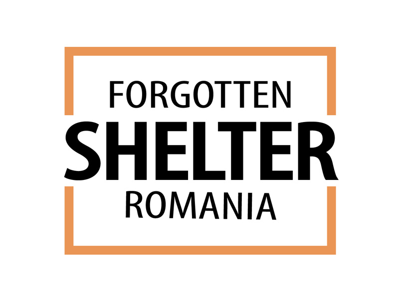 Rescue Dogs Romania